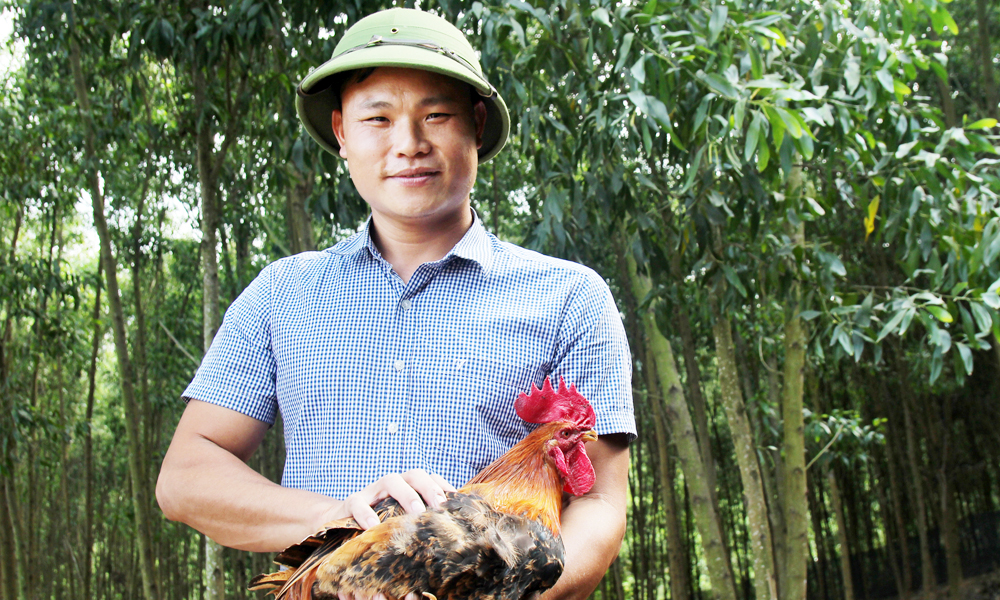 Trưởng thôn "9X" tiên phong phát triển kinh tế